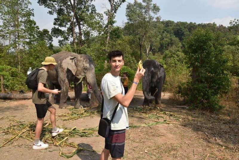 Chiang Mai Elephant Village Sanctuary Visit With Waterfall! - Itinerary and Highlights