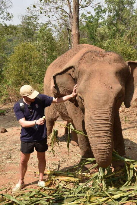 Chiang Mai Elephant Village Sanctuary Visit With Waterfall! - Interacting With the Elephants