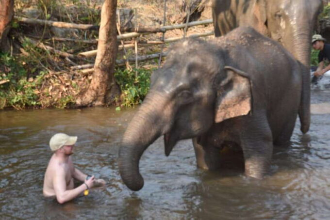 Chiang Mai Elephant Village Sanctuary Visit With Waterfall! - Frequently Asked Questions
