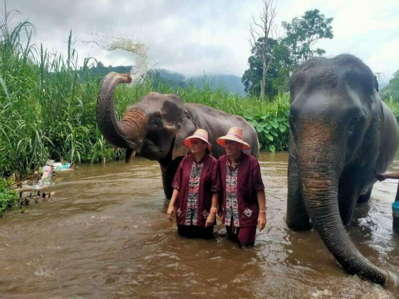 Chiang Mai: Elephants, Sticky Waterfalls, Market and Temple - A Fully Packed Day with a Personal Touch