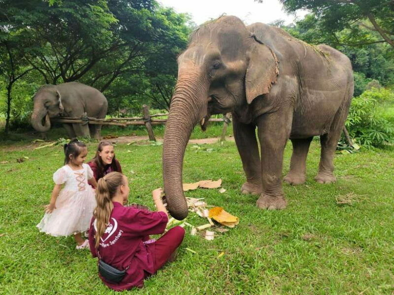Chiang Mai: Elephants, Sticky Waterfalls, Market and Temple - What Sets This Tour Apart