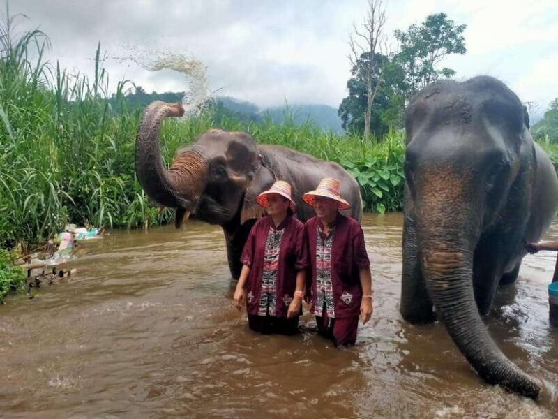 Chiang Mai: Elephants, Sticky Waterfalls, Market and Temple - Itinerary Highlights