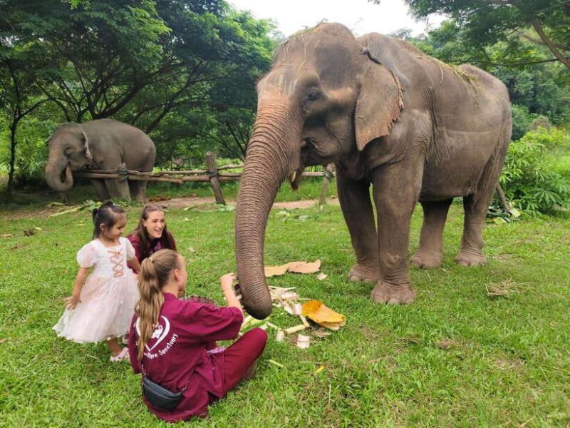 Chiang Mai: Elephants, Sticky Waterfalls, Market and Temple - Cultural Experiences
