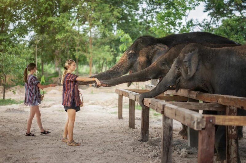 Chiang Mai: Ethical Elephant Encounter Feeding Program - Dress and Packing Essentials