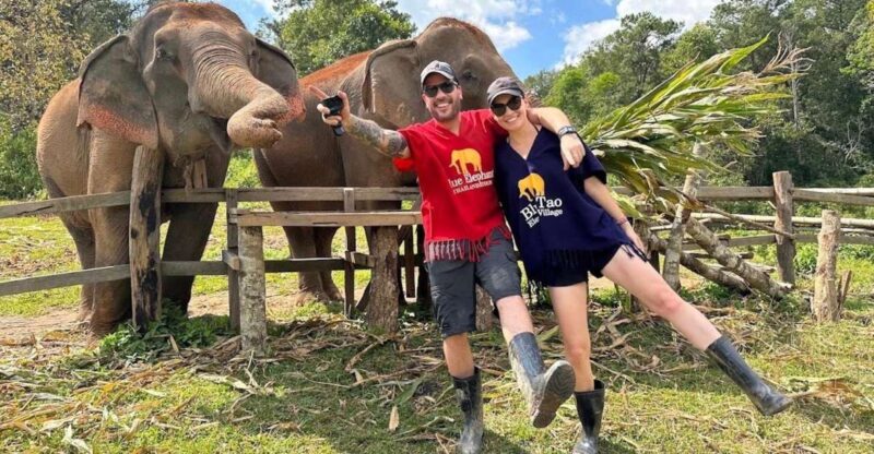Chiang Mai : Ethical Elephant Sanctuary and ATV Adventure - Key Points