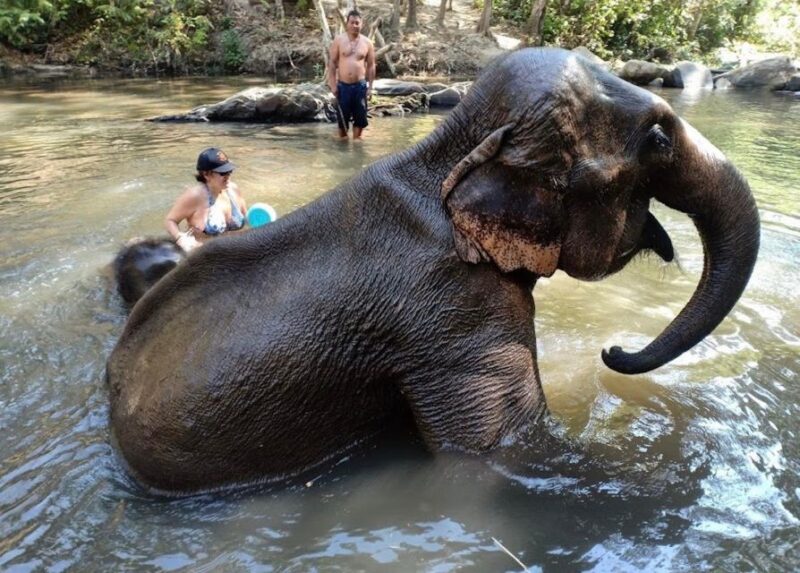 Chiang Mai : Ethical Elephant Sanctuary and ATV Adventure - Itinerary