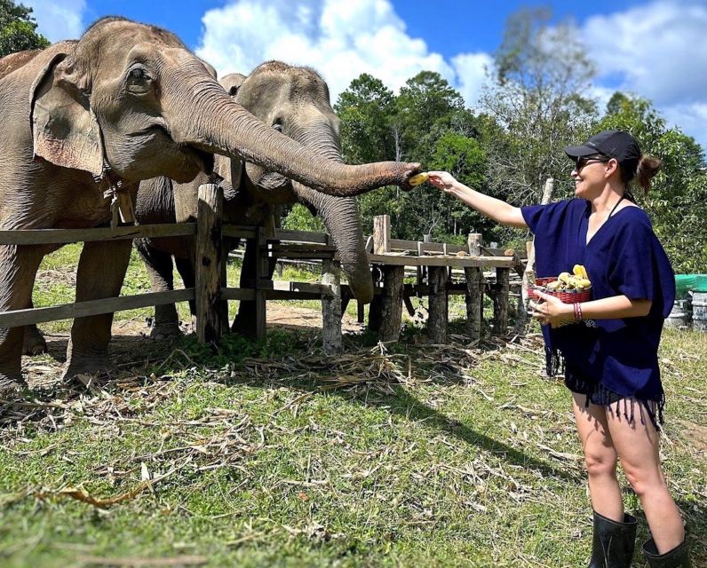 Chiang Mai : Ethical Elephant Sanctuary and ATV Adventure - Cultural Immersion