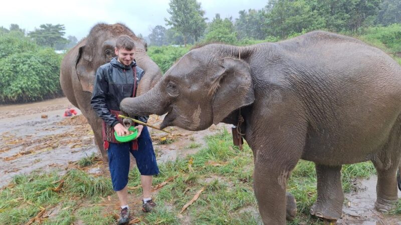 Chiang Mai: Ethical Elephant Sanctuary Full Day Tour & Lunch - Guided Tour Details