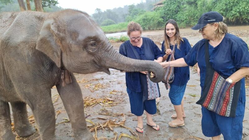 Chiang Mai: Ethical Elephant Sanctuary Full Day Tour & Lunch - Included and Excluded Expenses