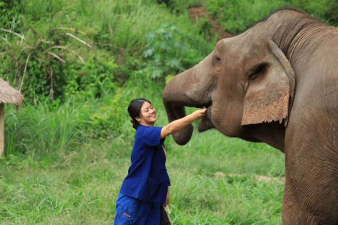 Chiang Mai: Ethical Elephant Sanctuary Full Day Tour & Lunch - Cancellation Policy and Refunds