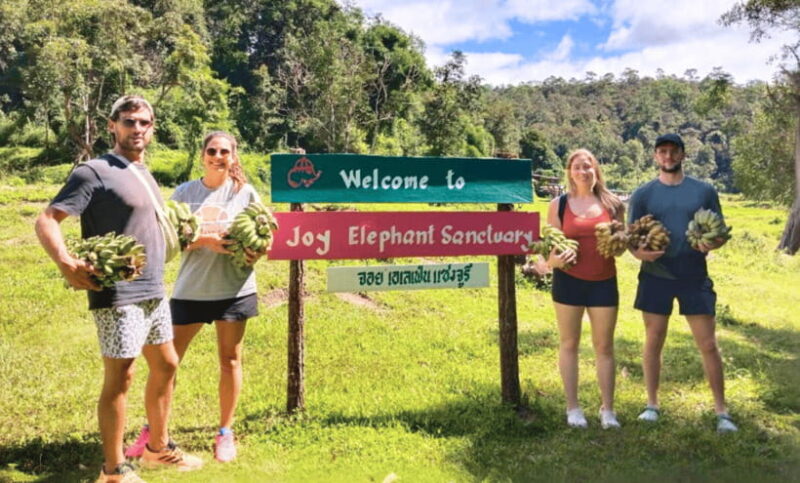 Chiang Mai: Ethical Half Day Elephant Sanctuary & Waterfall - Key Points