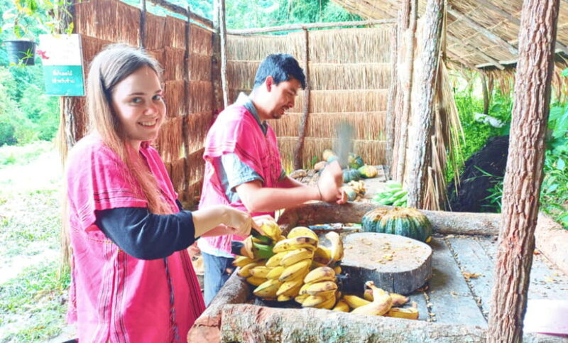 Chiang Mai: Ethical Half Day Elephant Sanctuary & Waterfall - Itinerary
