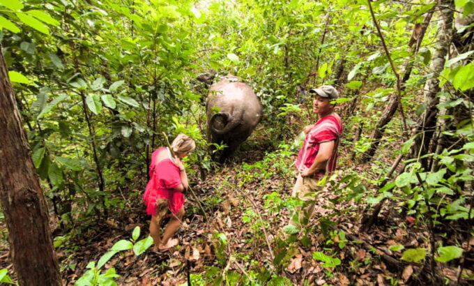 Chiang Mai: Ethical Half Day Elephant Sanctuary & Waterfall - Thai Cultural Souvenir