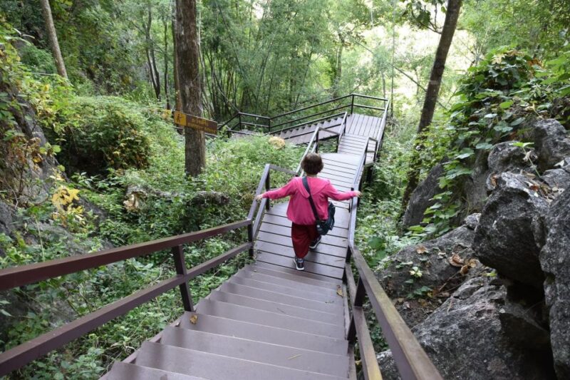 Chiang Mai: Explore the Hidden Temples of Lampang Province - Customer Testimonials