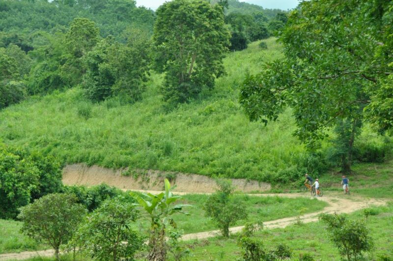 Chiang Mai Fields of Gold Cycling Tour - Key Points