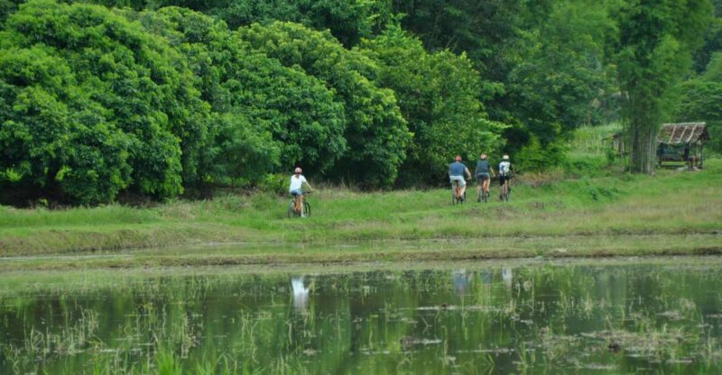 Chiang Mai Fields of Gold Cycling Tour - Booking Information