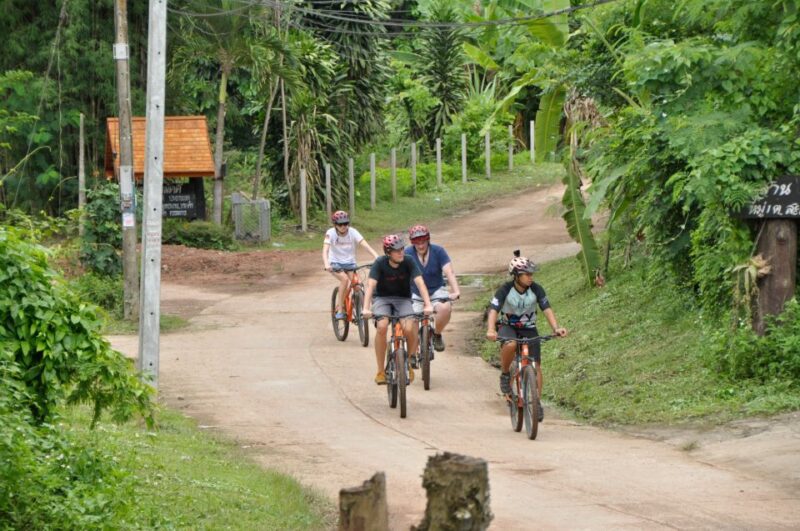 Chiang Mai Fields of Gold Cycling Tour - Customer Reviews