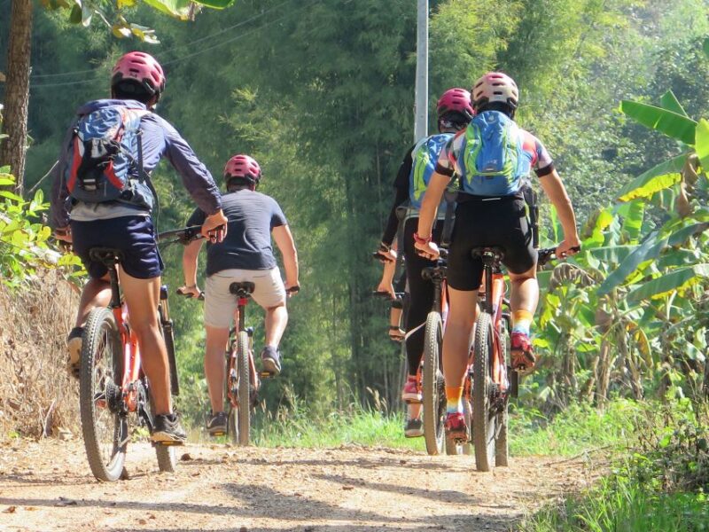 Chiang Mai Fields of Gold Cycling Tour - Tour Location