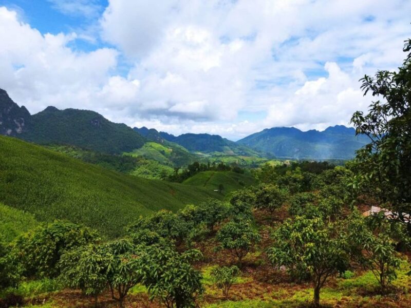 Chiang Mai: Full Day 5 Hill Tribes Tour With Guide & Van - Included and Excluded Services