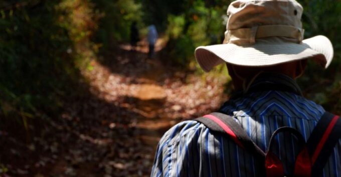 Chiang Mai: Full Day 5 Hill Tribes Tour With Guide & Van - Transportation and Logistics