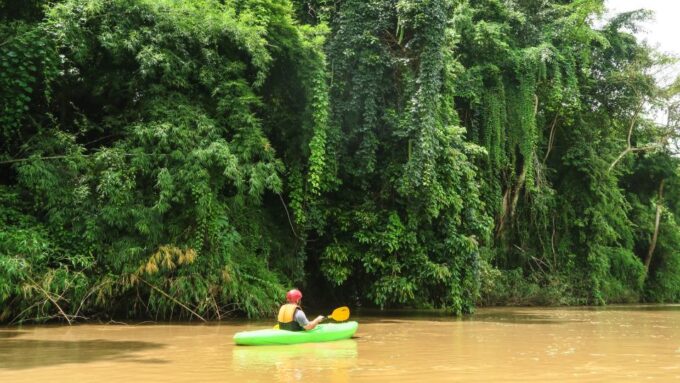 Chiang Mai: Full-Day Chiang Dao Caving & Jungle Kayaking - Dietary Options