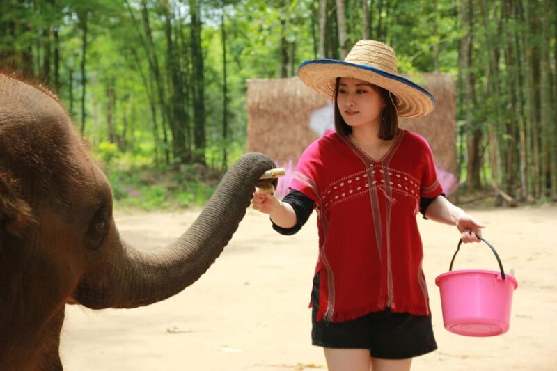 Chiang Mai: Full Day Elephant Eco Park Tour + Bamboo Rafting - Age Restrictions