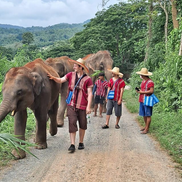 Chiang Mai: Full Day Elephant Eco Park Tour + Bamboo Rafting - Pickup and Drop-off