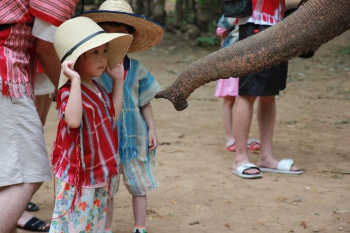 Chiang Mai: Full Day Elephant Eco Park Tour + Bamboo Rafting - Rainy Season Changes