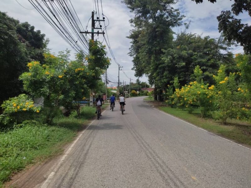Chiang Mai: Full-Day Guided Bike & Regional Culture Tour - Key Points