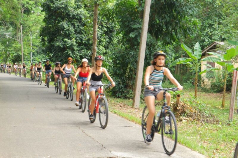 Chiang Mai: Full-Day Guided Bike & Regional Culture Tour - Itinerary Highlights
