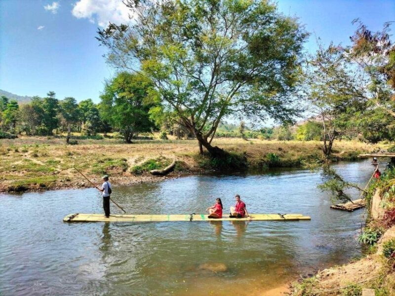 Chiang Mai: Full-Day Kerchor Elephant Eco Park Tour & Trek - Highlights of the Tour