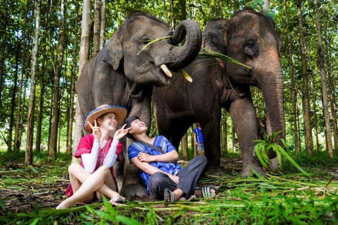 Chiang Mai: Full-Day Kerchor Elephant Eco Park Tour & Trek - Meeting Point and What to Bring