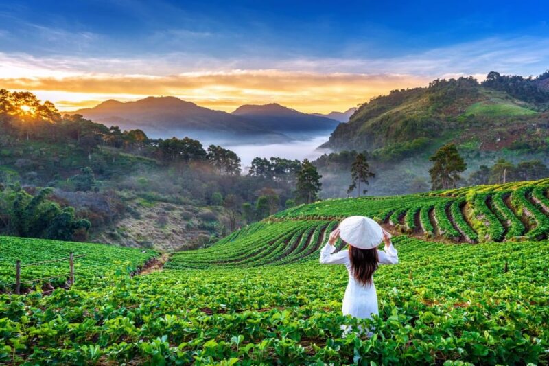 Chiang Mai: Full-Day Private Car Charter to Doi Ang Khang - Picturesque Road to Doi Angkhang