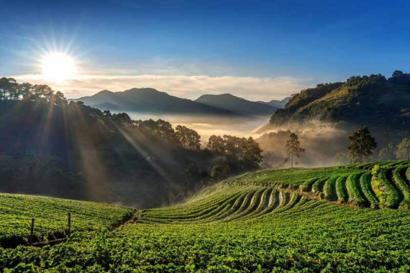 Chiang Mai: Full-Day Private Car Charter to Doi Ang Khang - Importance of Punctuality and Liability