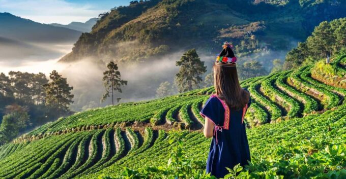 Chiang Mai: Full-Day Private Car Charter to Doi Ang Khang - Guidelines for Alcohol and Drugs