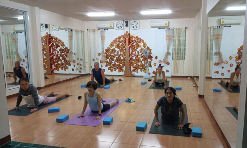 Chiang Mai: Full-Day Yoga & Meditation Experience With Lunch - Included Activities
