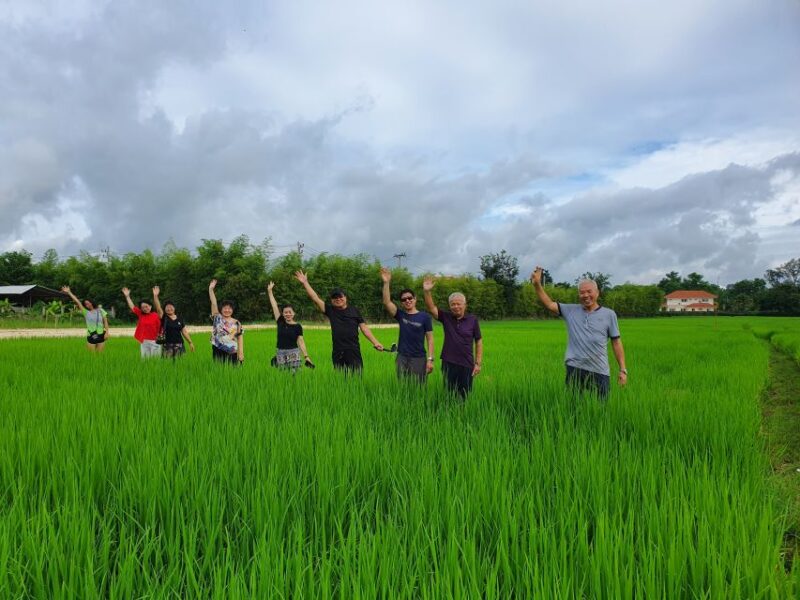 Chiang Mai: Full-Day Yoga & Meditation Experience With Lunch - Itinerary Highlights