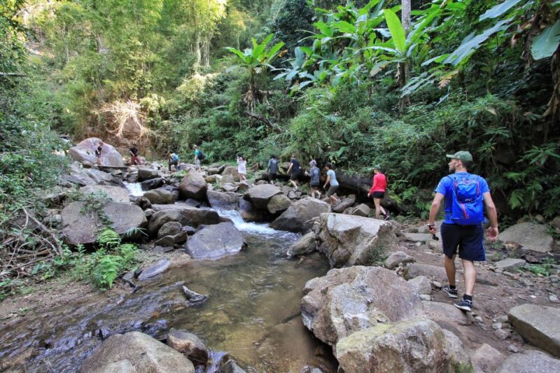 Chiang Mai: Guided Jungle and Waterfall Trek With Transfer - Customer Feedback