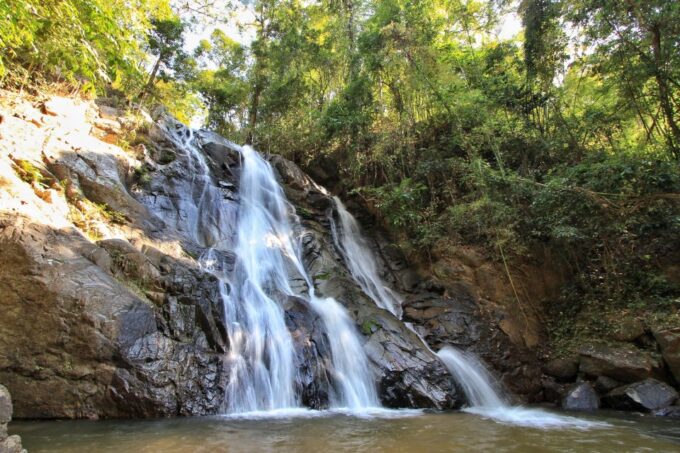 Chiang Mai: Guided Jungle and Waterfall Trek With Transfer - Itinerary Details