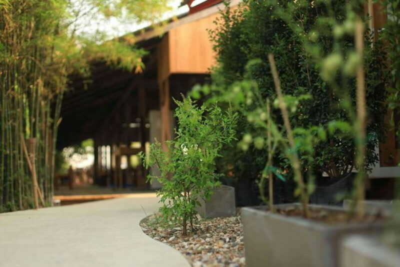 Chiang Mai: HALF-DAY COOKING COURSE at a Thai Cooking Farm - FAQs