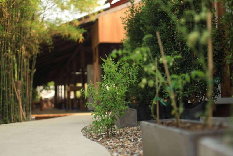 Chiang Mai: HALF-DAY COOKING COURSE at a Thai Cooking Farm - Ingredient Exploration