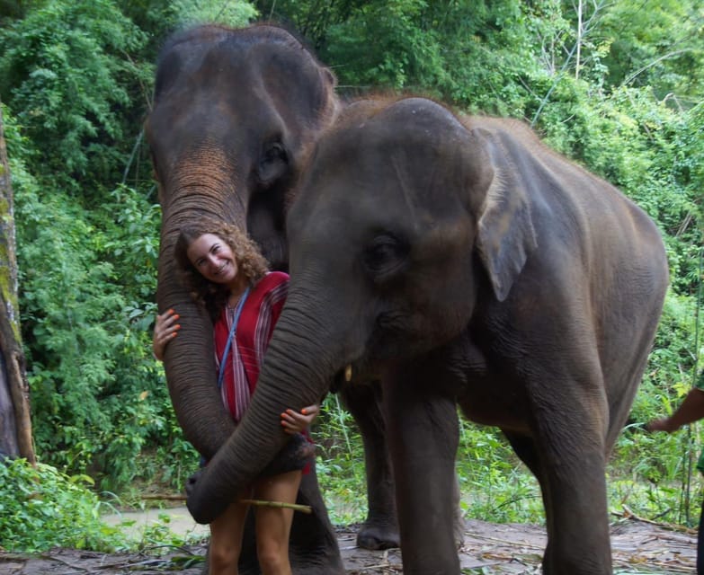 Chiang Mai: Half Day Elephant Eco Park Tour - Elephant Behavior and History