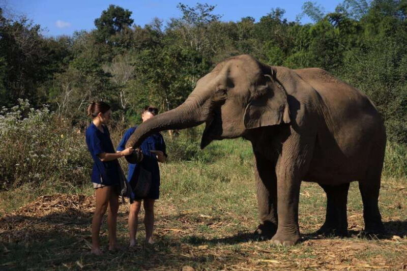 Chiang Mai: Half-Day Elephant Sanctuary & Bamboo Rafting - Itinerary and Highlights