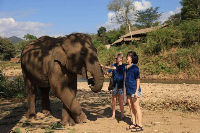 Chiang Mai: Half-Day Elephant Sanctuary & Bamboo Rafting - Participant Information