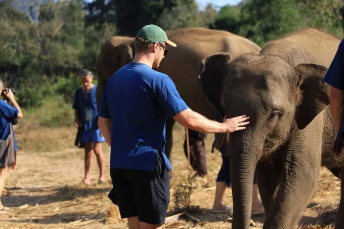 Chiang Mai: Half-Day Elephant Sanctuary & Bamboo Rafting - Frequently Asked Questions