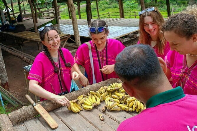 Chiang Mai Half Day Elephant Sanctuary Observation and Waterfall - Key Points