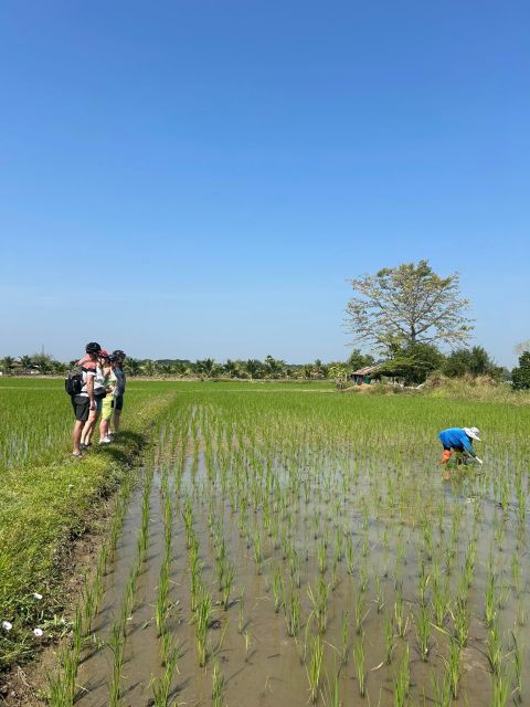 Chiang Mai: Half-Day Private Bicycle Tour With Lunch - Itinerary Highlights