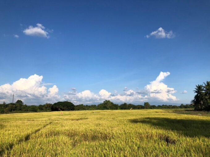 Chiang Mai: Half-Day Private Bicycle Tour With Lunch - Safety Briefing and Bike Sizing
