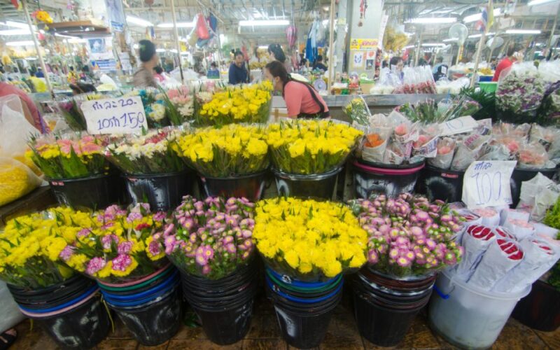 Chiang Mai: Half-Day Private City Tour by Tuk Tuk - Itinerary Highlights