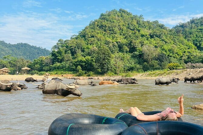 Chiang Mai Half-Day River Tubing & Elephant Observation - An In-Depth Look at the Chiang Mai River Tubing & Elephant Observation Tour